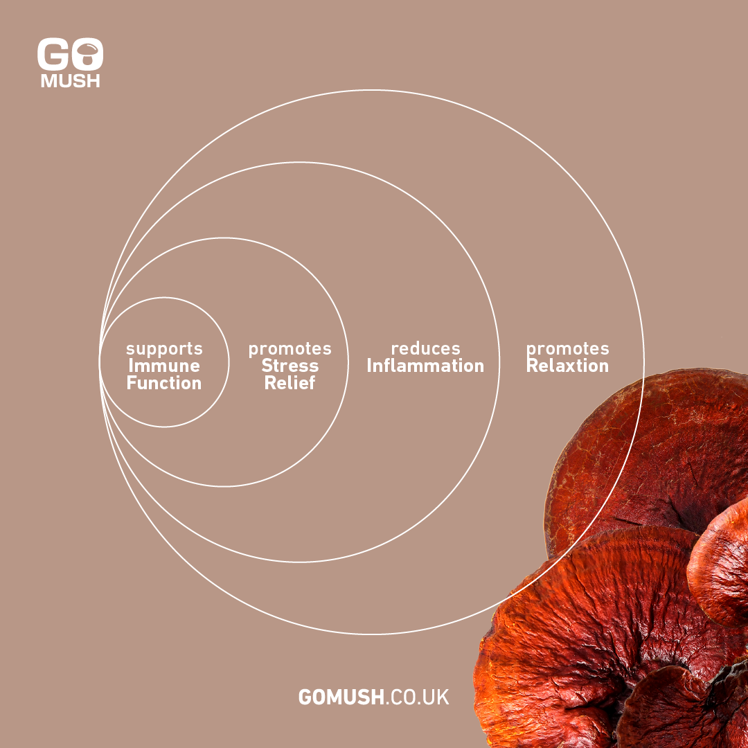 GoMush Reishi Mushroom Benefits: Supports Immune function, Promotes stress relief, reduces inflammation and promotes relaxation.