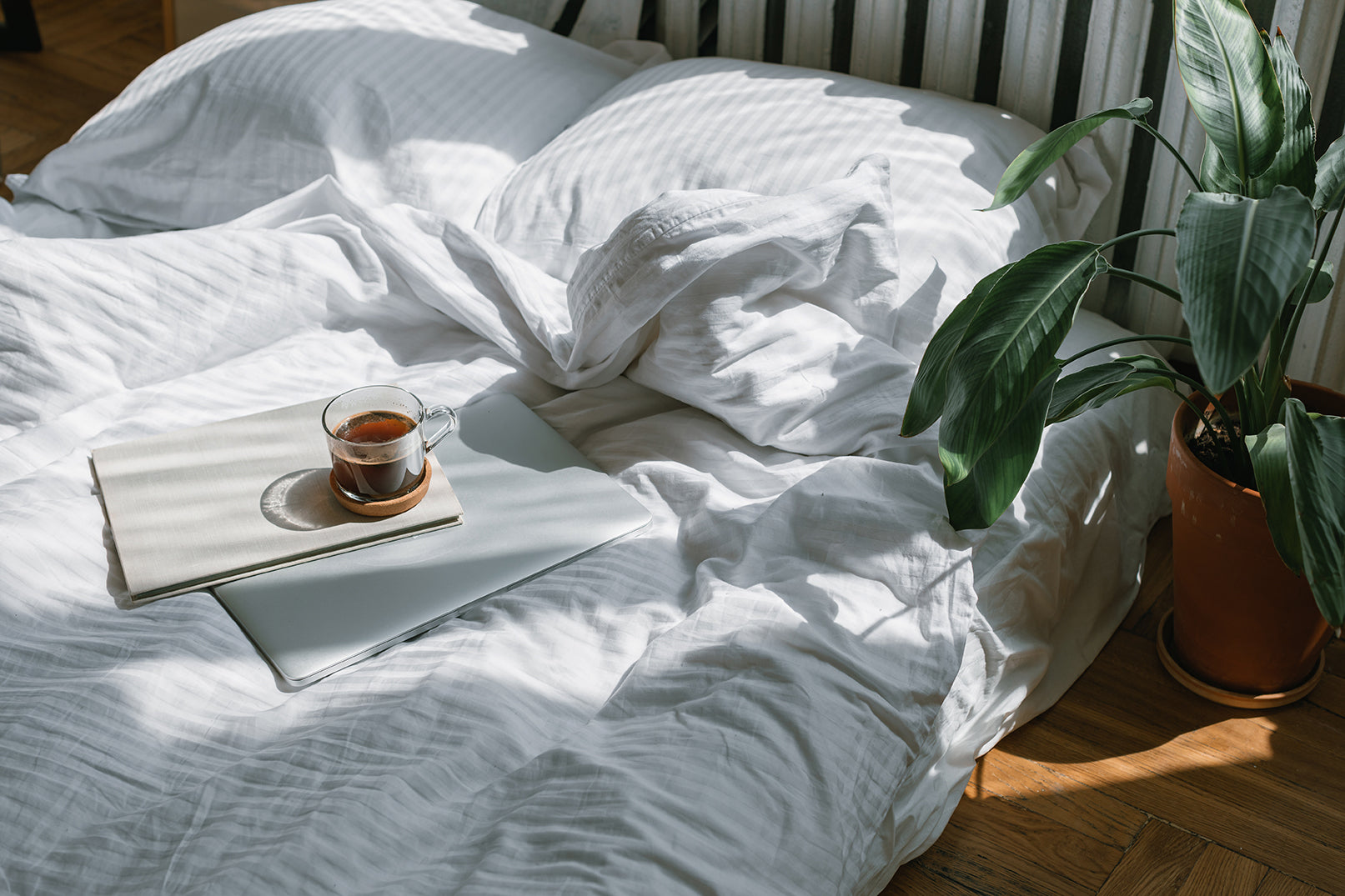 Rest Easy: How Reishi Mushroom Can Support Your Sleep