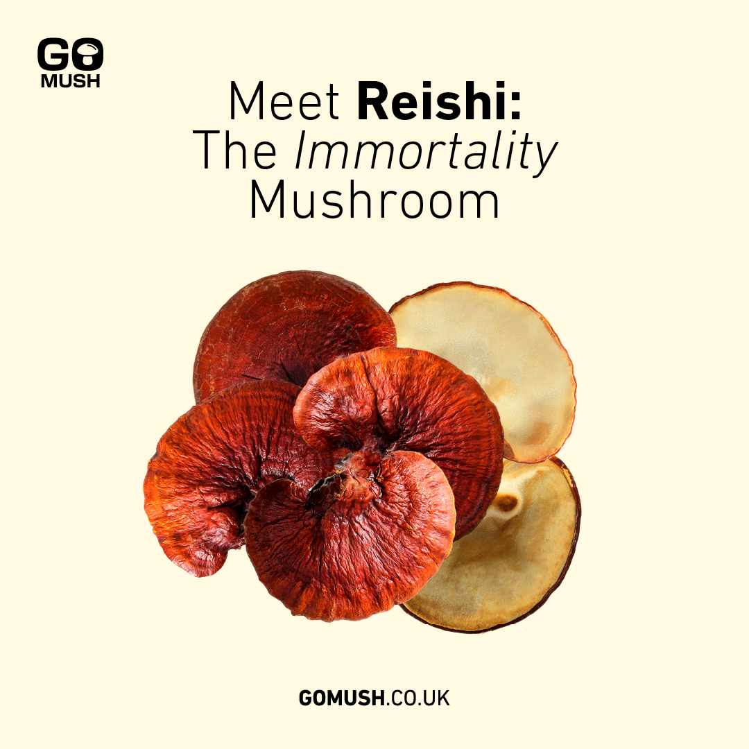 Meet Reishi: The Immortality Mushroom.