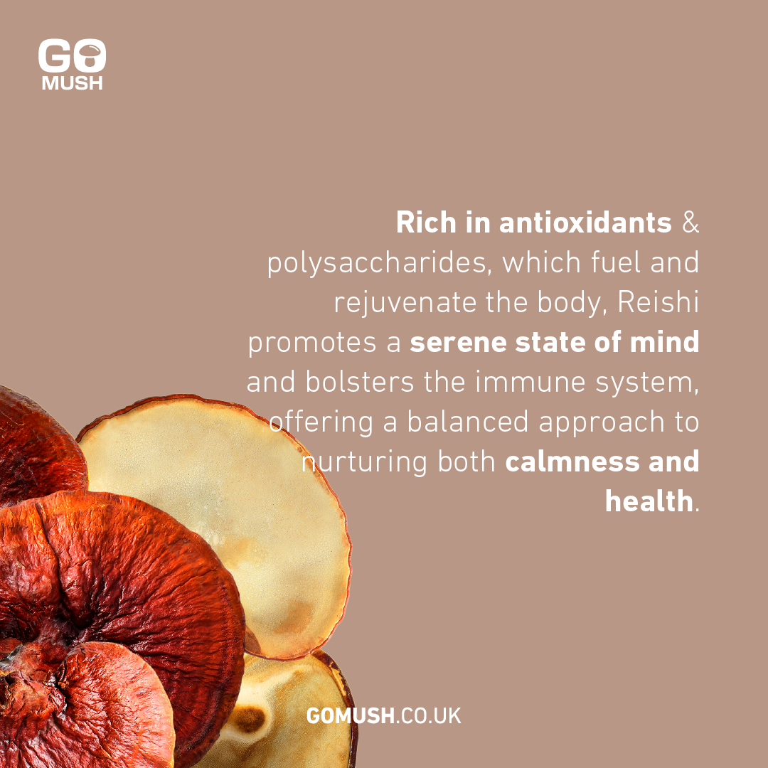 GoMush Reishi Mushroom Powder: Rich in antioxidants & polysaccharides, which fuel and rejuvenate the body, Reishi promotes a serene state of mind and bolsters the immune system, offering a balanced approach to nurturing both calmness and health.