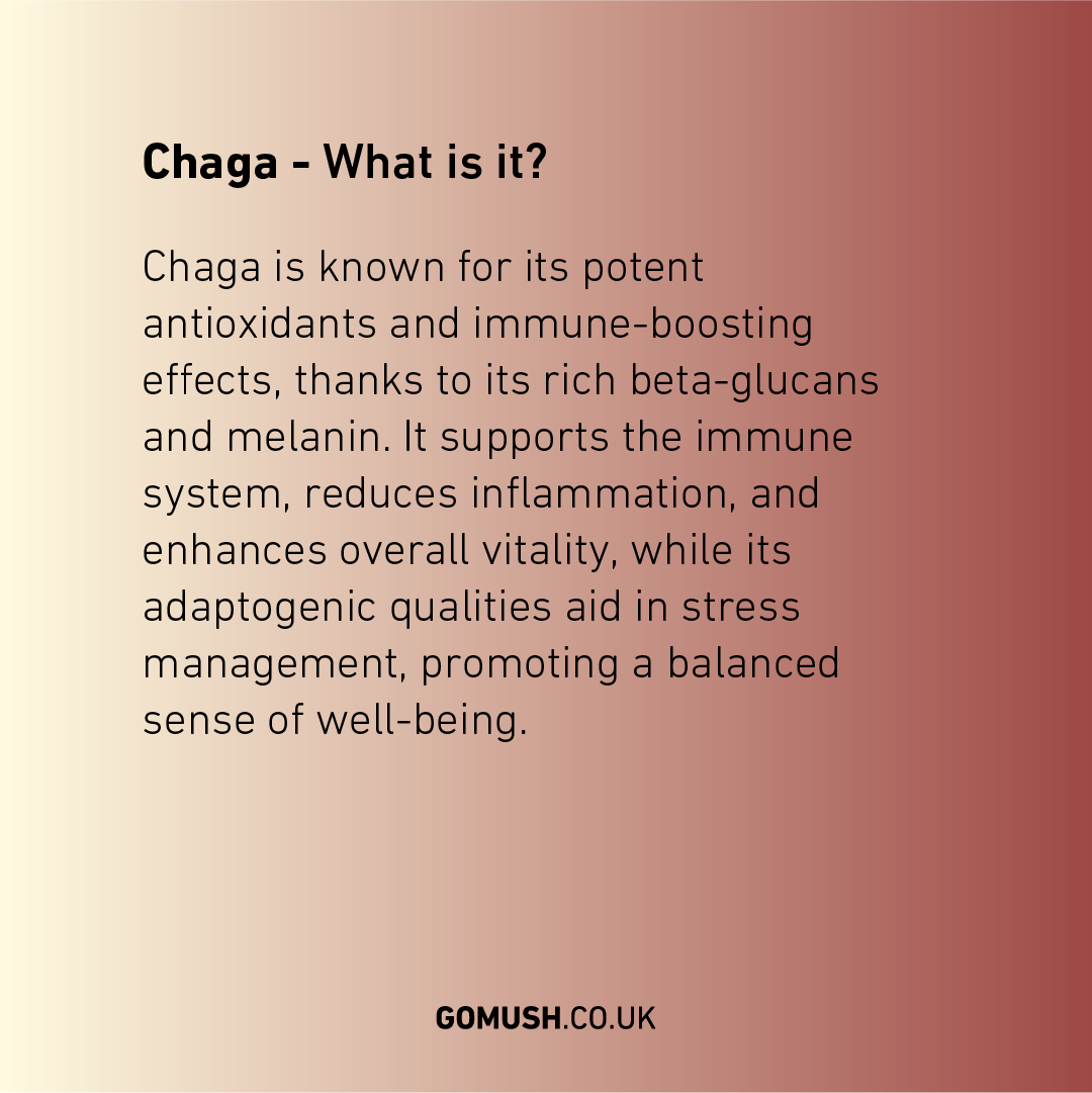 Chaga, What is it? Chaga is known for its potent antioxidants and immune-boosting effects, thanks to its rich beta-glucans and melanin. It supports the immune system, reduces inflammation, and enhances overall vitality, while its adaptogenic qualities aid in stress management, promoting a balanced sense of well-being.