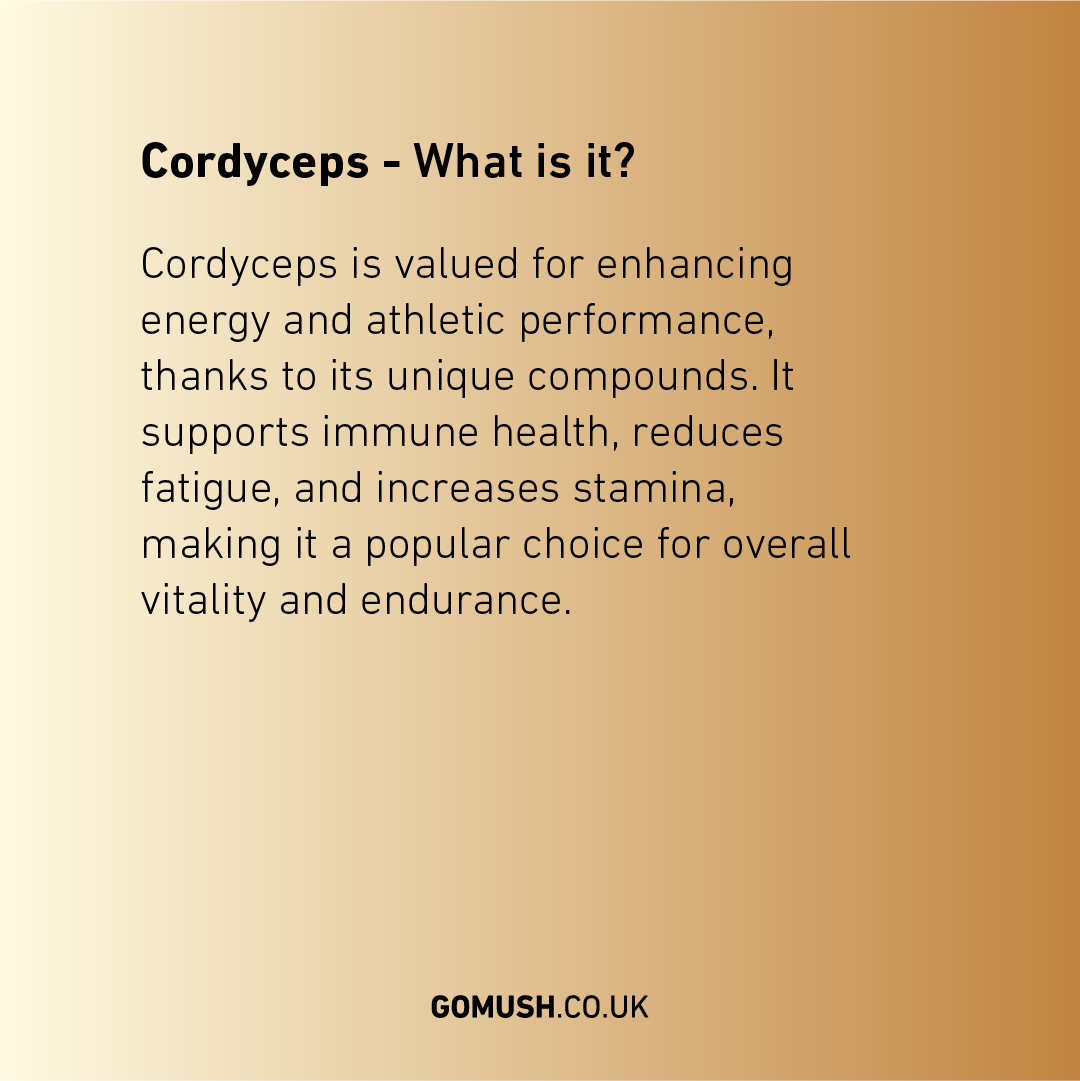 ORGANIC CORDYCEPS EXTRACT POWDER - ENERGY & ENDURANCE - 60g