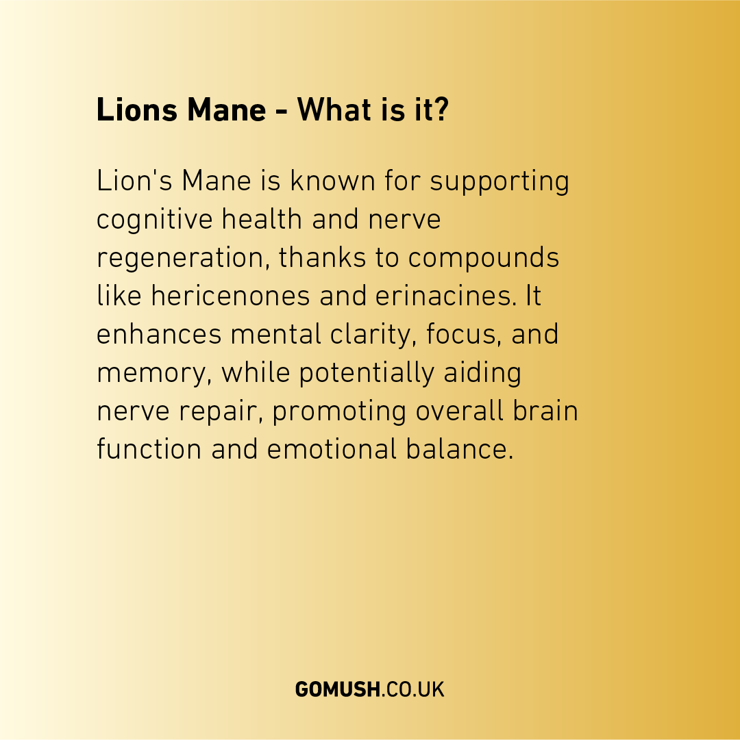 Lions Mane - What is it? Lion's Mane is known for supporting cognitive health and nerve regeneration, thanks to compounds like hericenones and erinacines. It enhances mental clarity, focus, and memory, while potentially aiding nerve repair, promoting overall brain function and emotional balance.