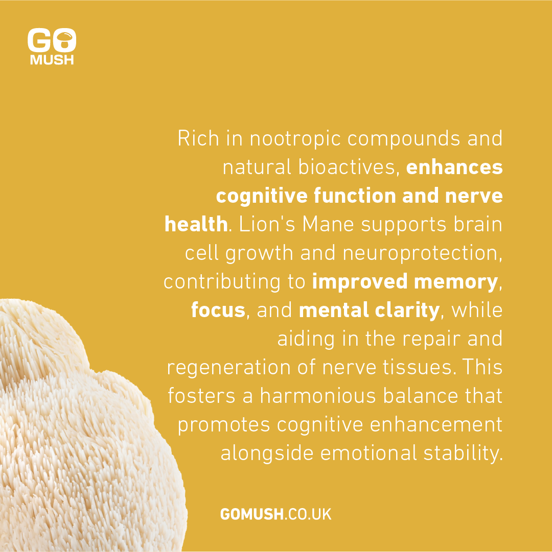 GoMush Lions Mane Mushroom Powder Rich in nootropic compounds and natural bioactives, enhances cognitive function and nerve health. Lion's Mane supports brain cell growth and neuroprotection, contributing to improved memory, focus, and mental clarity, while aiding in the repair and regeneration of nerve tissues. This fosters a harmonious balance that promotes cognitive enhancement alongside emotional stability.